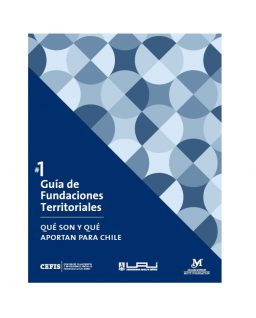 #1 Guía de Fundaciones Territoriales. Qué son y qué aportan para Chile