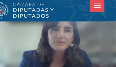 Directora del CEFIS comenta el proyecto de Ley de Donaciones en la Cámara de Diputados