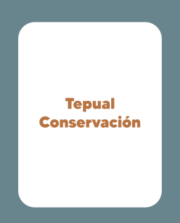 Tepual Conservación